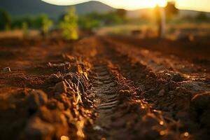 magnifique vue de une thé champ plantation, vignoble ferme ou fraise jardin dans le vert collines à lever du soleil concept par ai généré photo