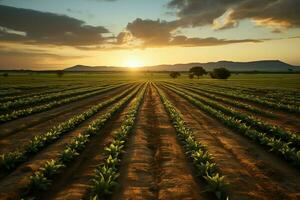 magnifique vue de une thé champ plantation, vignoble ferme ou fraise jardin dans le vert collines à lever du soleil concept par ai généré photo