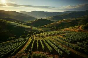 magnifique vue de une thé champ plantation, vignoble ferme ou fraise jardin dans le vert collines à lever du soleil concept par ai généré photo