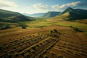 magnifique vue de une thé champ plantation, vignoble ferme ou fraise jardin dans le vert collines à lever du soleil concept par ai généré photo