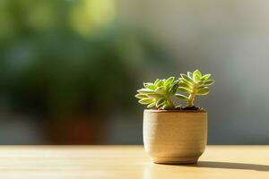 mis en pot succulent plante gastérie ou petit cactus avec copie espace. Accueil jardinage et minimaliste plante concept par ai généré photo