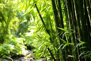 vue de botanique vert bambou tropical forêt dans lumière du jour. Oriental bambou bosquet dans Chine Japonais concept par ai généré photo