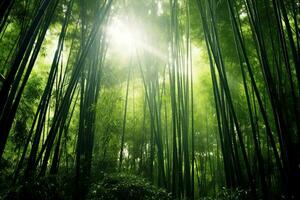 vue de botanique vert bambou tropical forêt dans lumière du jour. Oriental bambou bosquet dans Chine Japonais concept par ai généré photo