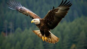 Aigle librement en volant en dessous de le lumière du soleil et bleu ciel. prédateur oiseau chasse dans safari est Afrique concept par ai généré photo