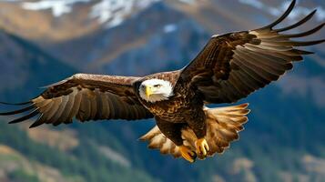 Aigle librement en volant en dessous de le lumière du soleil et bleu ciel. prédateur oiseau chasse dans safari est Afrique concept par ai généré photo