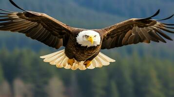 Aigle librement en volant en dessous de le lumière du soleil et bleu ciel. prédateur oiseau chasse dans safari est Afrique concept par ai généré photo