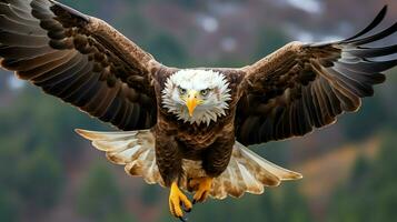 Aigle librement en volant en dessous de le lumière du soleil et bleu ciel. prédateur oiseau chasse dans safari est Afrique concept par ai généré photo