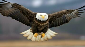 Aigle librement en volant en dessous de le lumière du soleil et bleu ciel. prédateur oiseau chasse dans safari est Afrique concept par ai généré photo