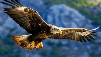 Aigle librement en volant en dessous de le lumière du soleil et bleu ciel. prédateur oiseau chasse dans safari est Afrique concept par ai généré photo