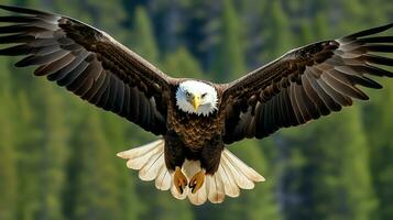 Aigle librement en volant en dessous de le lumière du soleil et bleu ciel. prédateur oiseau chasse dans safari est Afrique concept par ai généré photo