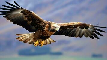 Aigle librement en volant en dessous de le lumière du soleil et bleu ciel. prédateur oiseau chasse dans safari est Afrique concept par ai généré photo