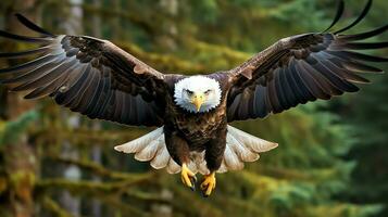 Aigle librement en volant en dessous de le lumière du soleil et bleu ciel. prédateur oiseau chasse dans safari est Afrique concept par ai généré photo