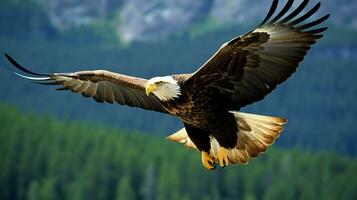 Aigle librement en volant en dessous de le lumière du soleil et bleu ciel. prédateur oiseau chasse dans safari est Afrique concept par ai généré photo