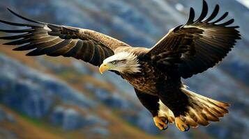 Aigle librement en volant en dessous de le lumière du soleil et bleu ciel. prédateur oiseau chasse dans safari est Afrique concept par ai généré photo