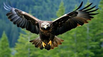 Aigle librement en volant en dessous de le lumière du soleil et bleu ciel. prédateur oiseau chasse dans safari est Afrique concept par ai généré photo