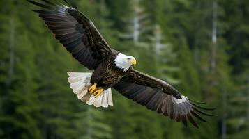 Aigle librement en volant en dessous de le lumière du soleil et bleu ciel. prédateur oiseau chasse dans safari est Afrique concept par ai généré photo