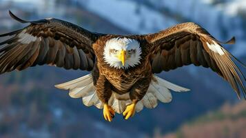 Aigle librement en volant en dessous de le lumière du soleil et bleu ciel. prédateur oiseau chasse dans safari est Afrique concept par ai généré photo