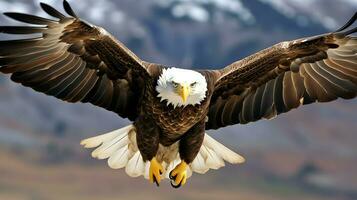 Aigle librement en volant en dessous de le lumière du soleil et bleu ciel. prédateur oiseau chasse dans safari est Afrique concept par ai généré photo