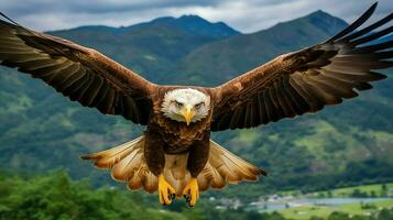 Aigle librement en volant en dessous de le lumière du soleil et bleu ciel. prédateur oiseau chasse dans safari est Afrique concept par ai généré photo