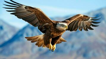 Aigle librement en volant en dessous de le lumière du soleil et bleu ciel. prédateur oiseau chasse dans safari est Afrique concept par ai généré photo