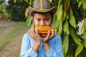 cabosses de cacao fraîches entre les mains des agriculteurs photo