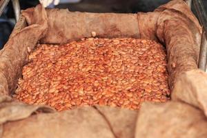 le processus de fermentation des fèves de cacao fraîches pour faire du chocolat photo