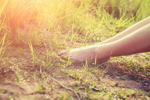 pieds d'une jeune femme allongée dans l'herbe photo