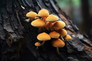 fermer coup de gymnopile junonius sur le écorce de une arbre, ai génératif photo