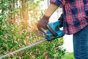 jardinier tenant un taille-haie électrique pour couper la cime des arbres photo