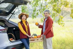 Sénior père et Jeune adulte fille permanent dans retour de une voiture en portant en bois caisses de récolté citrouilles dans leur posséder terres agricoles, concept de content famille dans l'automne, la récolte saison, saisonnier récolte photo