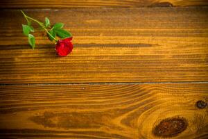 Naturel en bois foncé Contexte et petit rouge Rose photo