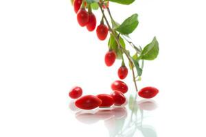 branche avec mûr rouge goji baie sur blanc Contexte photo