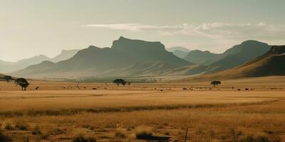 ai généré. ai génératif. sauvage Extérieur la nature Sud Afrique paysage Contexte avec montagnes et champ. graphique art photo