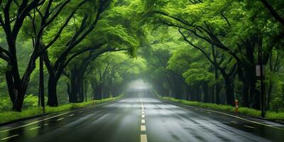 ai généré. ai génératif. Extérieur la nature Landsacpe forêt arbre route Autoroute chemin paysage Contexte. graphique art photo