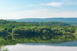 Naturel vue sur une rural étang et une vert forêt. clair bleu ciel Contexte photo