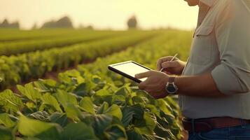 moderne La technologie dans agriculture. agronome utilisant tablette pour agricole analyse. ai généré photo