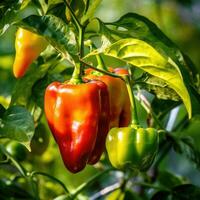 Frais cloche poivrons pendaison sur bifurquer, ai généré photo