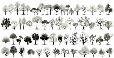 ensemble de divers des arbres sur blanc - ai généré image photo