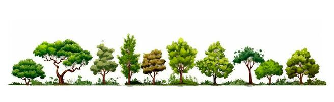 ensemble de divers des arbres sur blanc - ai généré image photo