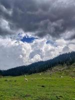 Vallée de Bangus à Kupwara Cachemire photo