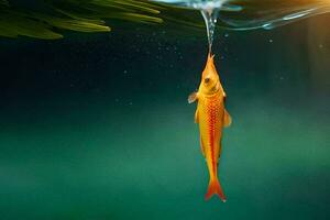 une poisson est flottant dans le l'eau avec une vert Contexte. généré par ai photo