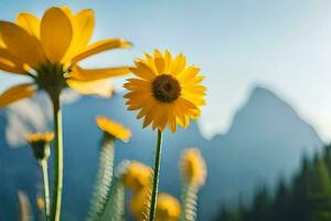 photo fond d'écran le ciel, montagnes, fleurs, tournesol, fleurs, fleurs, fleurs, fleurs. généré par ai