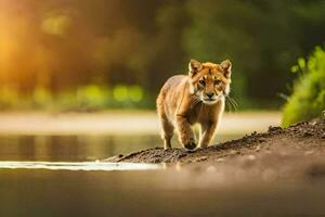 une Lion en marchant le long de le banque de une rivière. généré par ai photo
