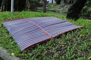 tapis thaï traditionnel vivant sur les arrière-plans du jardin photo