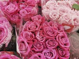 vente de roses dans le magasin. bouquets pour les fêtes. photo