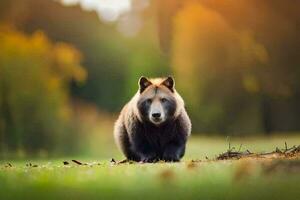 une marron ours en marchant par une champ. généré par ai photo