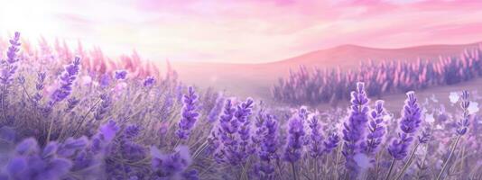 une bannière conception mettant en valeur une champ de lavande dans plein floraison, avec doux violet teintes et délicat pétales, création une apaisant et aromatique atmosphère. génératif ai photo