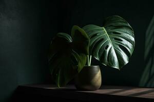 une monstera plante affiché dans une vase avec une sens de Naturel et biologique décor. génératif ai photo