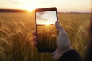 image de homme main en portant téléphone intelligent avec magnifique image sur filtrer. d'or blé à le coucher du soleil. génératif ai photo