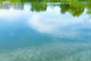 bleu ciel réflexion de le Prairie dans le l'eau et vert herbes bords photo